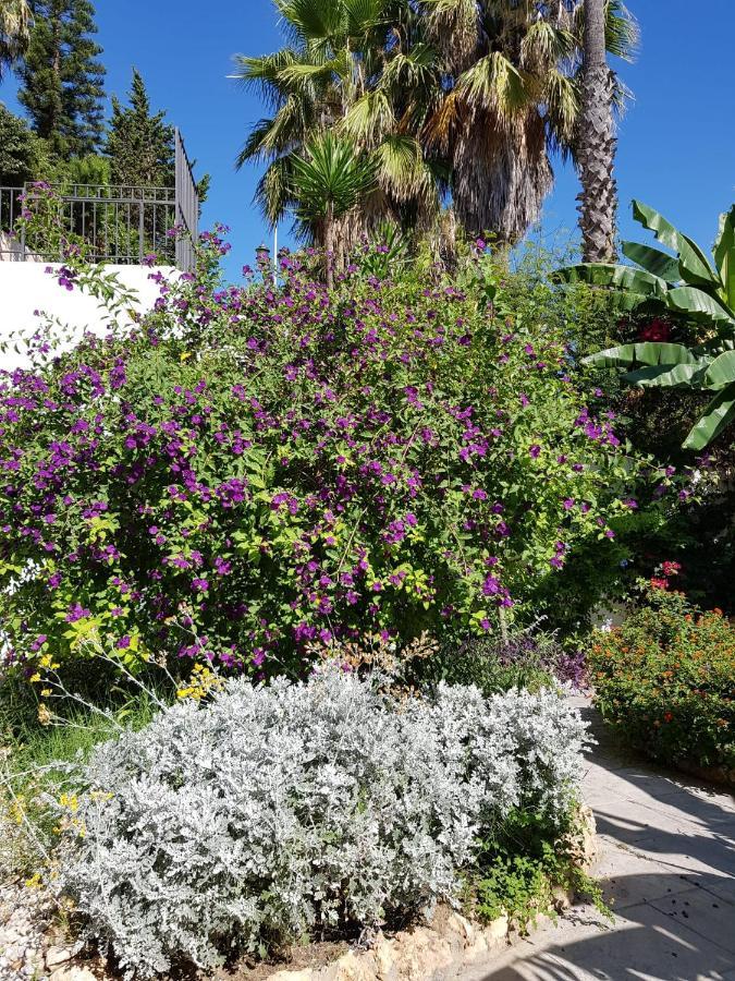 Deluxe Studio Athos 50 Mp Garden Patio Benalmadena Golf & Beach Exterior photo
